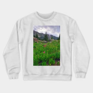 High Alpine Wildflowers Crewneck Sweatshirt